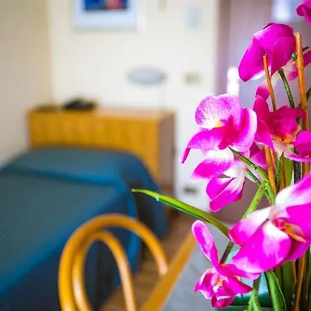 Hotel Agli Olmi 2*