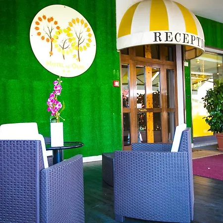 Agli Olmi San Biagio di Callalta